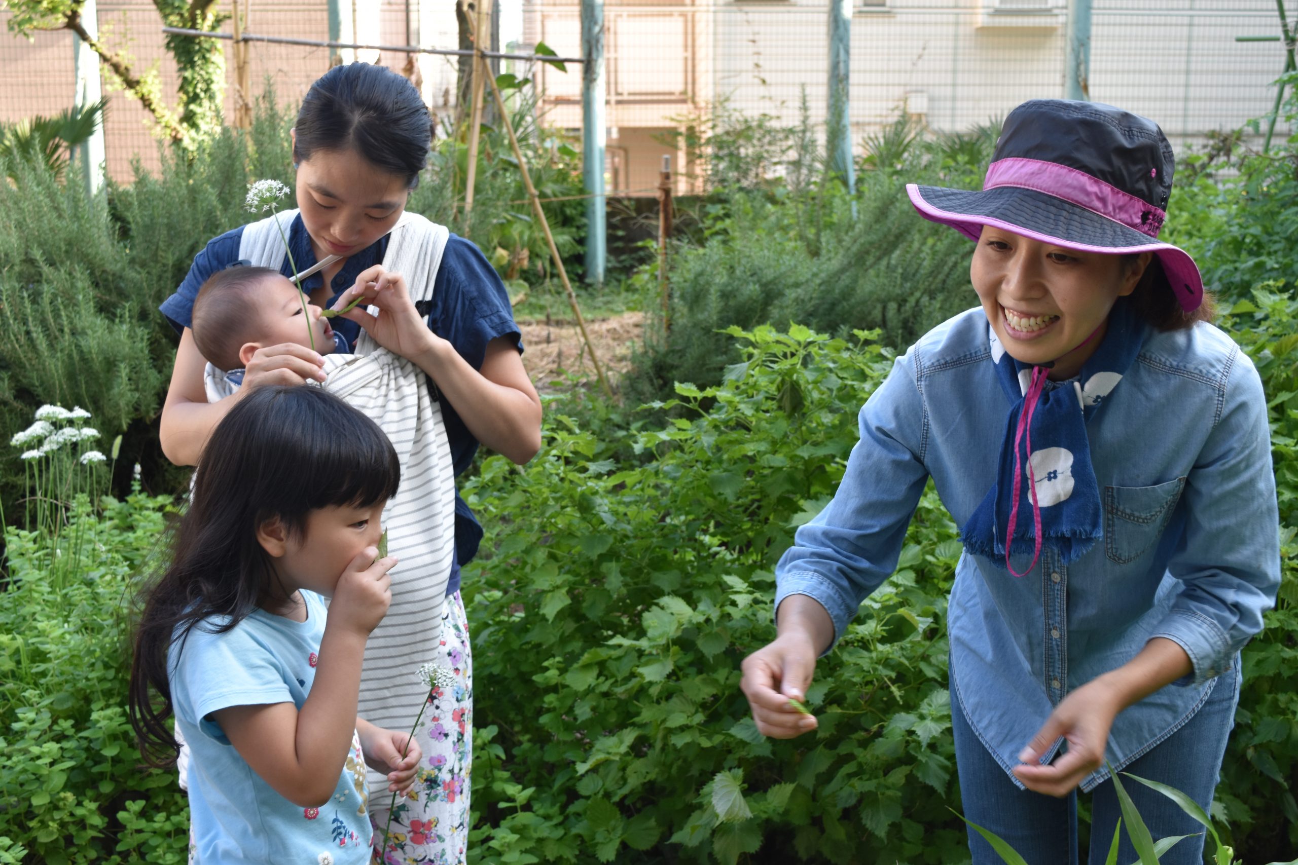 ◇さわやかﾐﾆ園芸ﾀｲﾑ5月「ｱｯﾌﾟﾙﾐﾝﾄ挿し木ﾁｬﾚﾝｼﾞ」