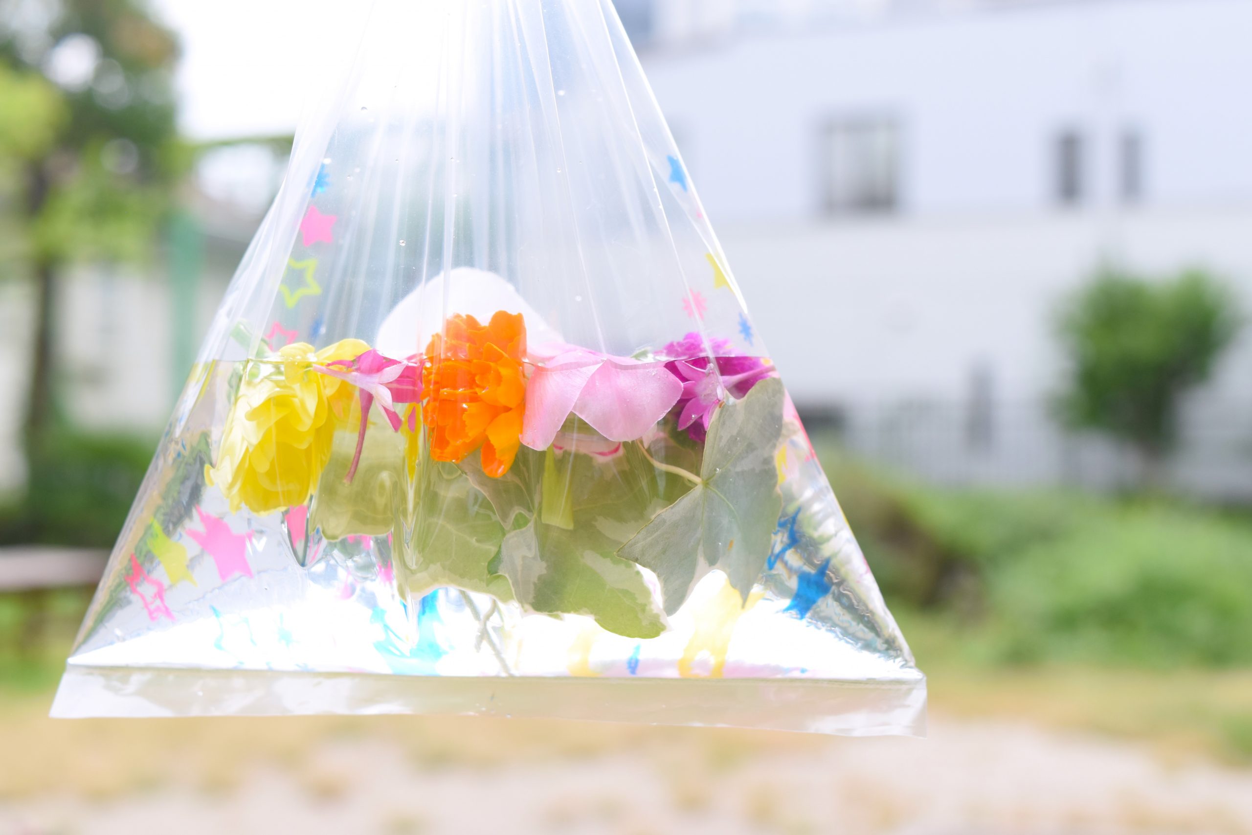 ◇さわやかミニ園芸タイム「夏花すくい」7/30（木）